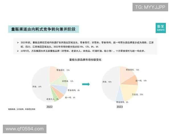 《2025年全球电竞赛事大数据分析报告揭示行业未来发展趋势与挑战》
