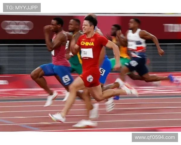 新赛季网球赛场风云再起名将回归新星崛起引发全球关注热度飙升